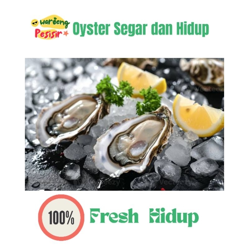 

OYSTER LOKAL / KERANG TIREM SEGAR HIDUP – DIJUAL PER KILOGRAM