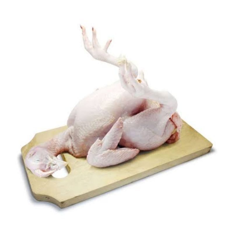 

Ayam Segar 1 Ekor 2 kg