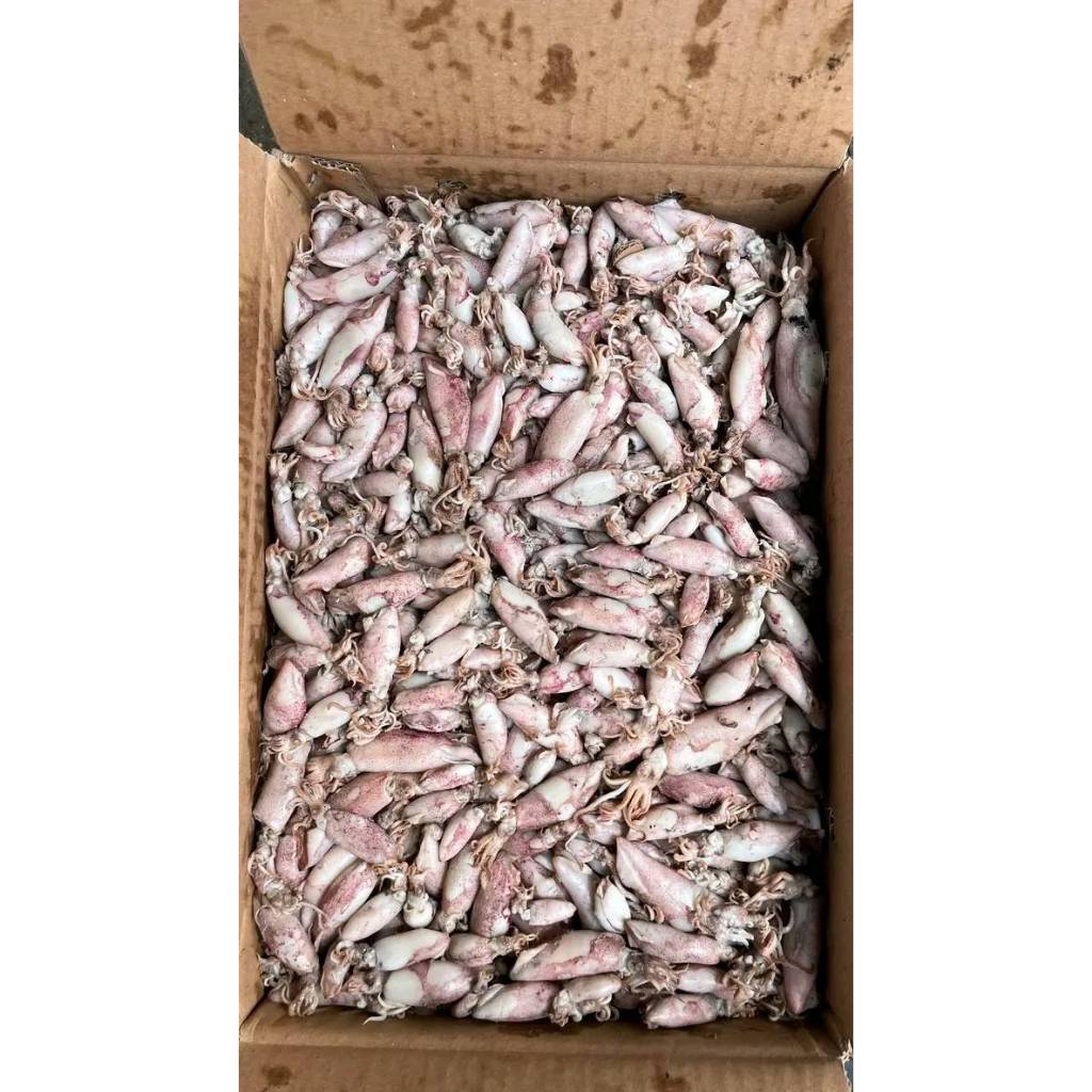 

Cumi asin kering 250 gram halal