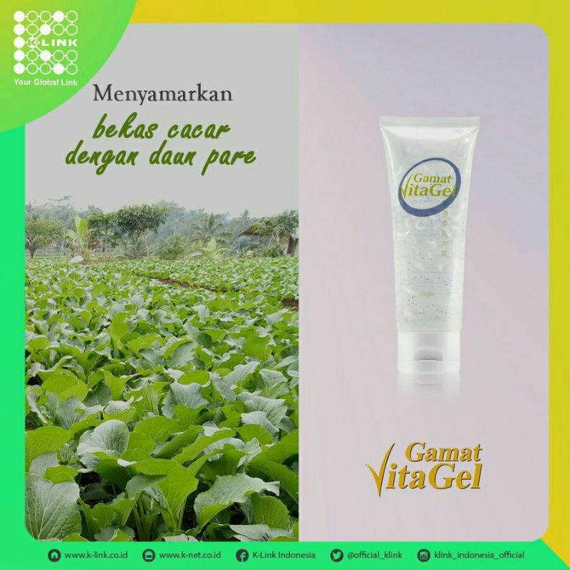 gamat vita gel k-link