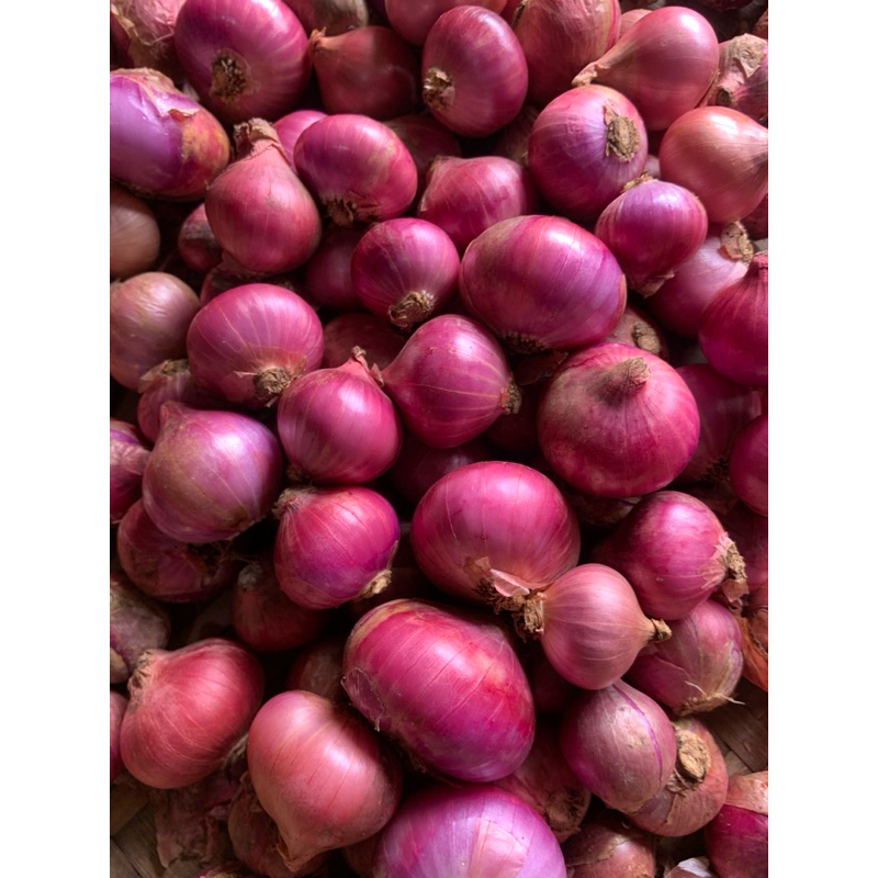 

Bawang merah local batu kualitas super premium ukuran besar