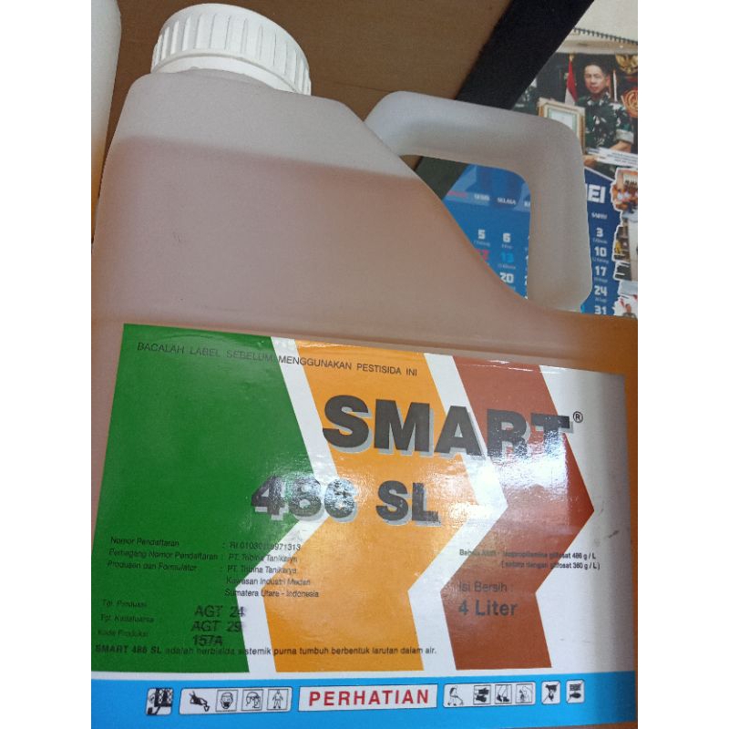 SMART 486SL, 4L