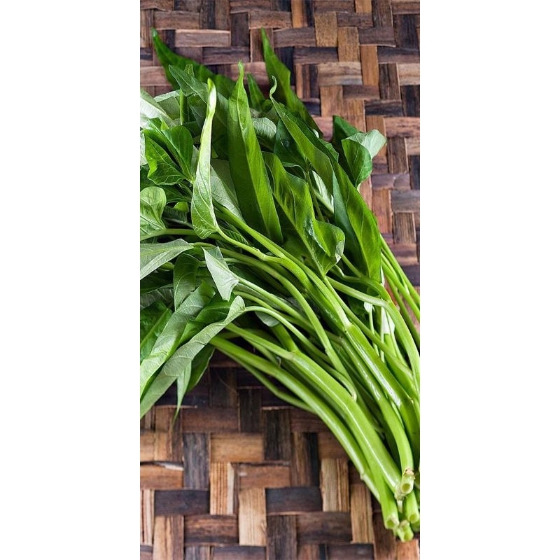 

Benih Kangkung Walet - Isi 250 Biji, Cepat Panen, Bibit Unggul