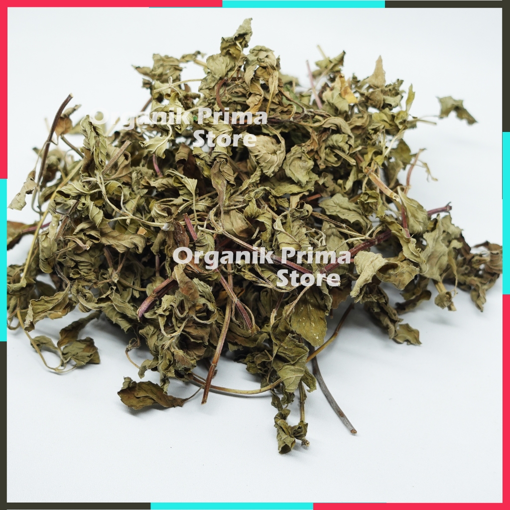 

Daun Stevia Kering 100gr Bersih dan Organik