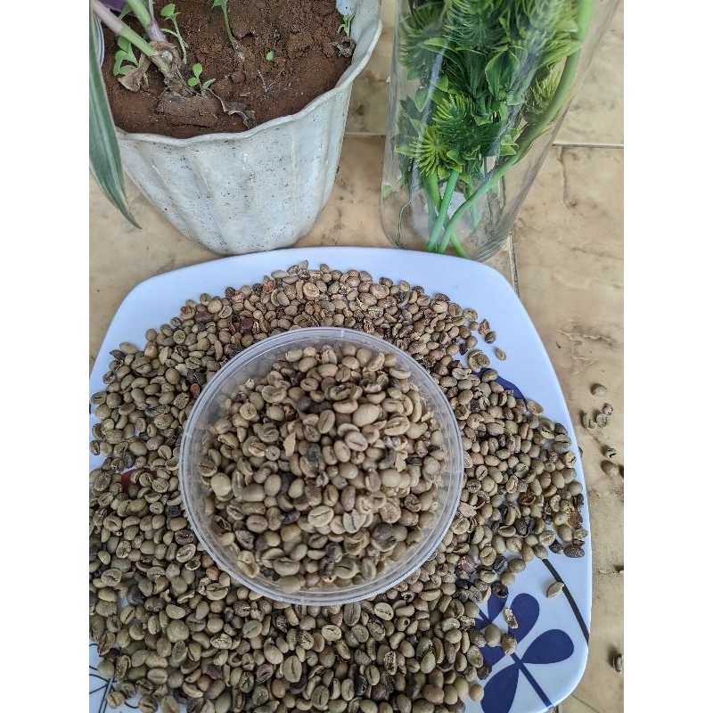 

GREEN BEAN ROBUSTA DAMPIT GRADE 2 KOPI MENTAH