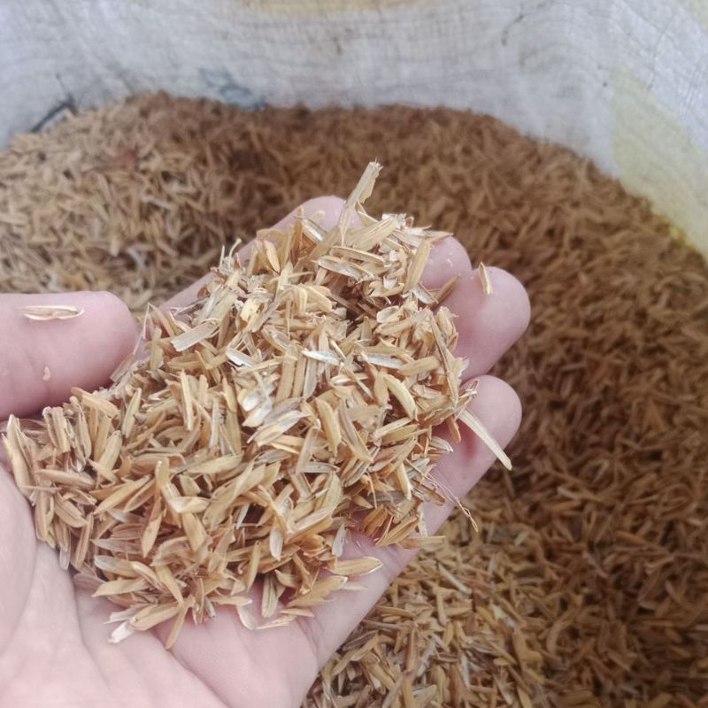 Sekam Padi Baru Giling Campuran Media Tanam