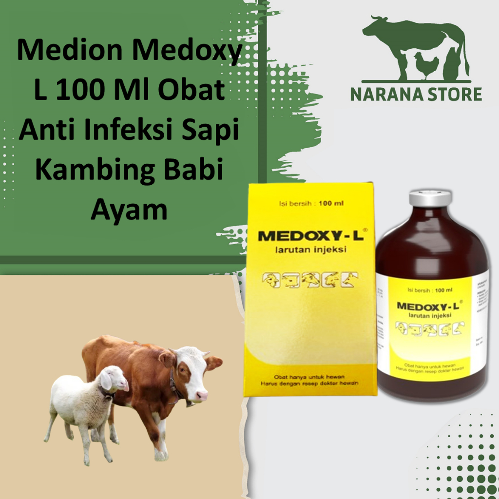 Medion Medoxy L 100 Ml Obat Anti Infeksi Sapi Kambing Babi Ayam