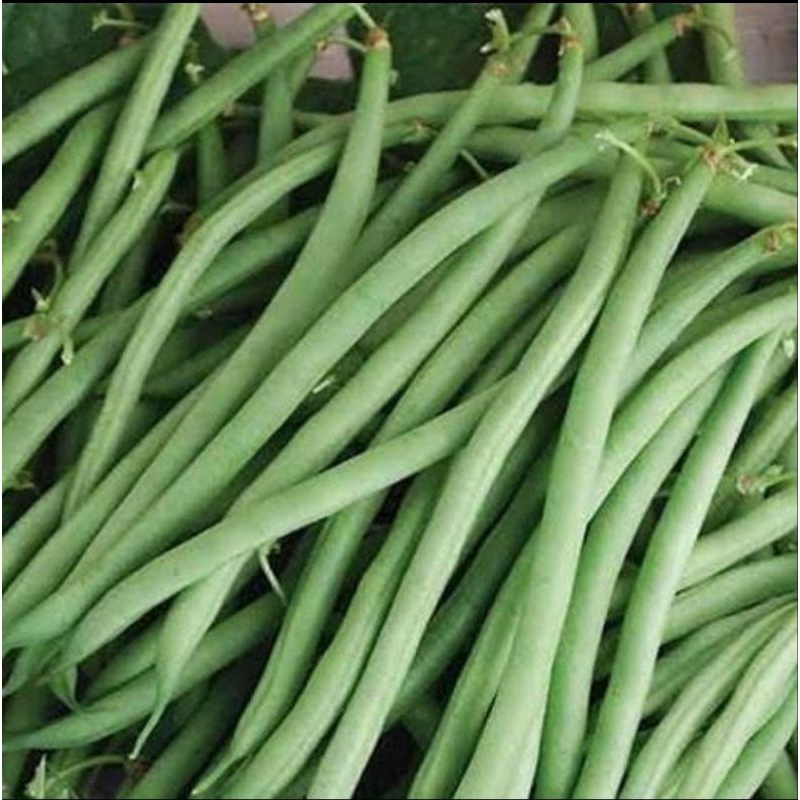 

buncis 500 gram
