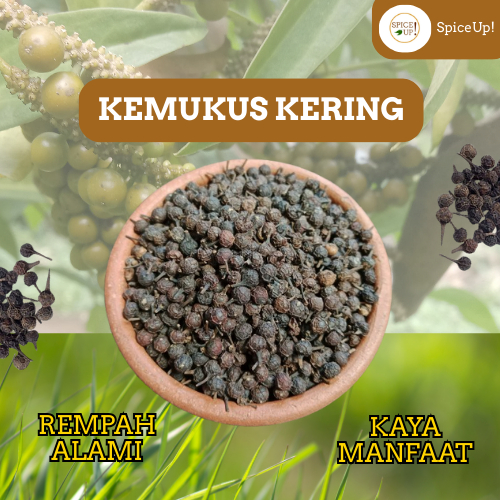 

Kemukus Kering Asli – Rempah Herbal Tradisional 100% Alami