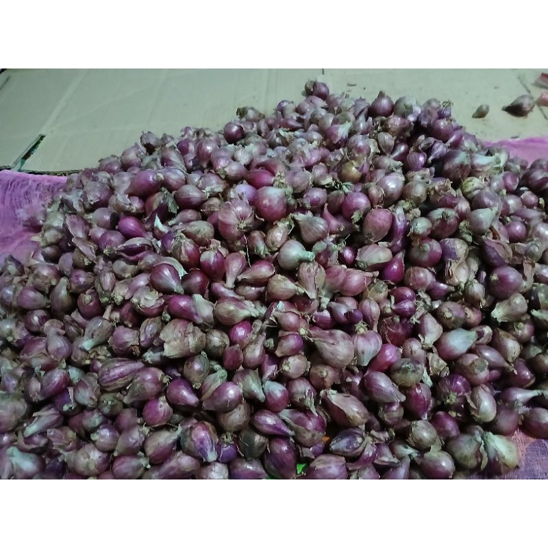 

Bawang merah murah 1 kg, 500 gr, 250 gr