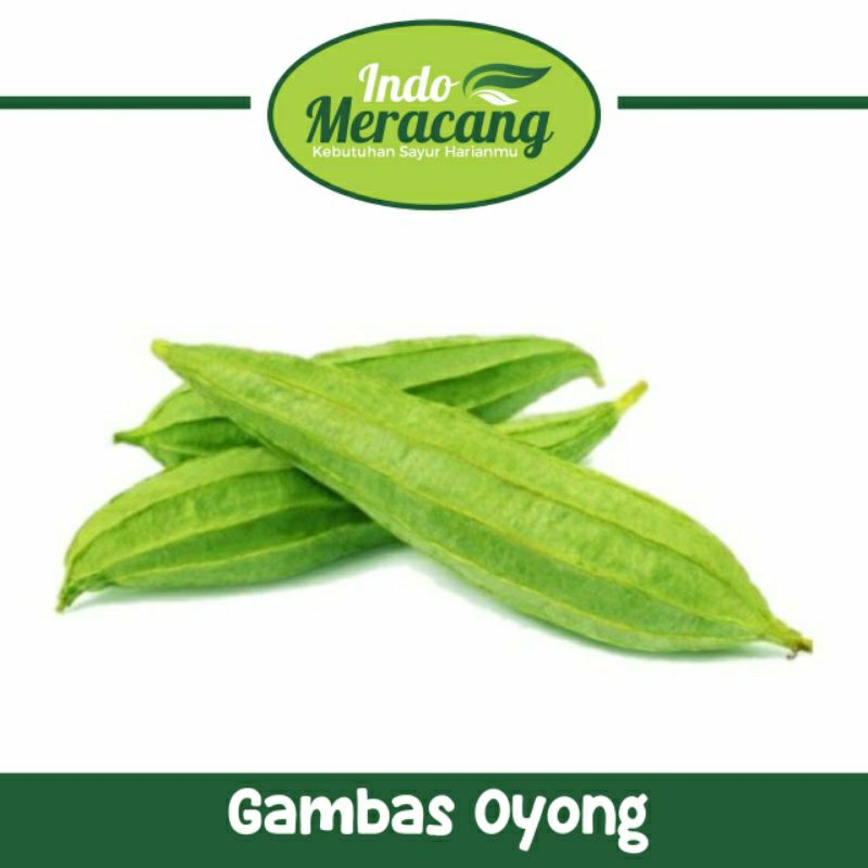 

GAMBAS OYONG 500 GRAM