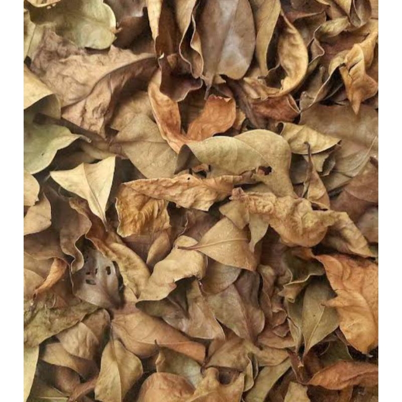 

jual daun salam kering 250gram