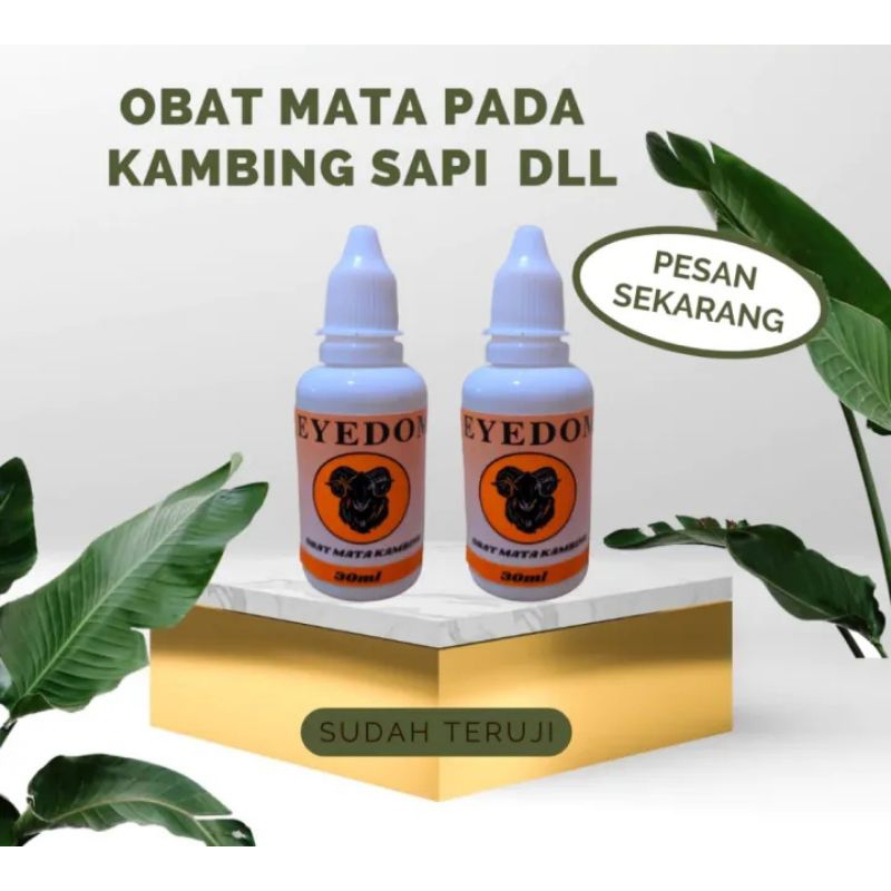 EYEDOM obat tetes  mata pada kambing sapi