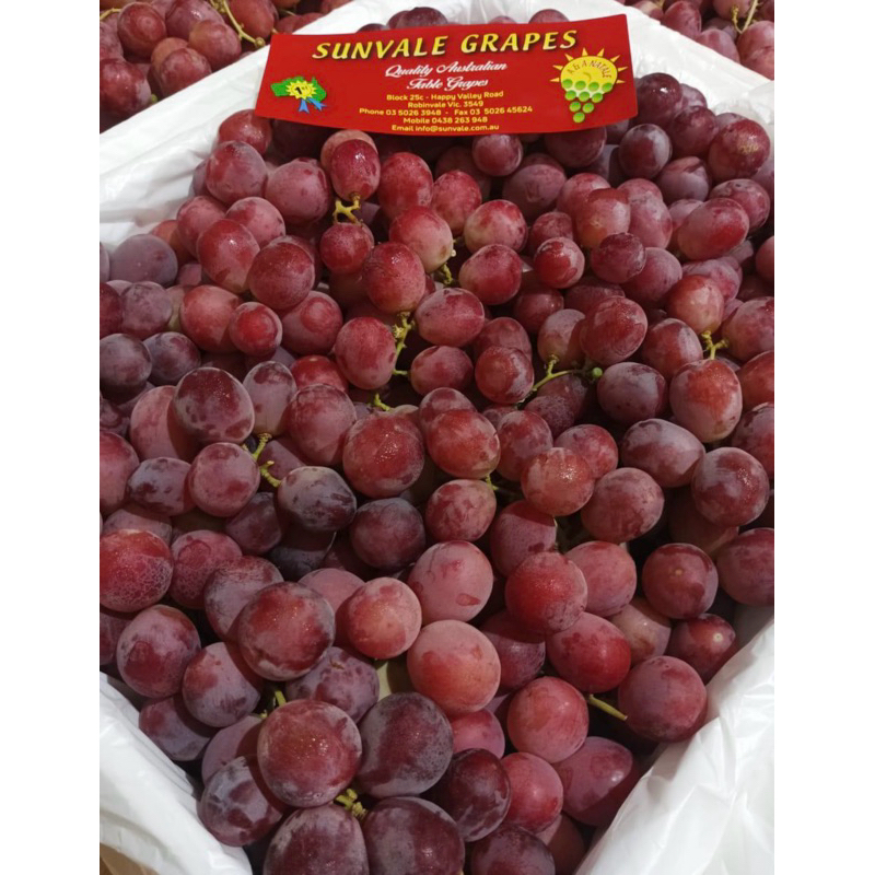 

ANGGUR MERAH AUSTRALIA JUMBO JAMINAN MANIS