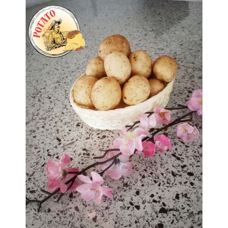 

Kentang dieng segar dalam variasi 500 gr, 1kg, 5kg, 20kg sampai 25kg (Berat 1kg)