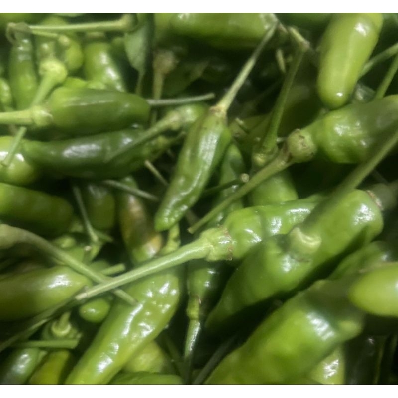 

cabai rawit ijo/lalap fress 1kg