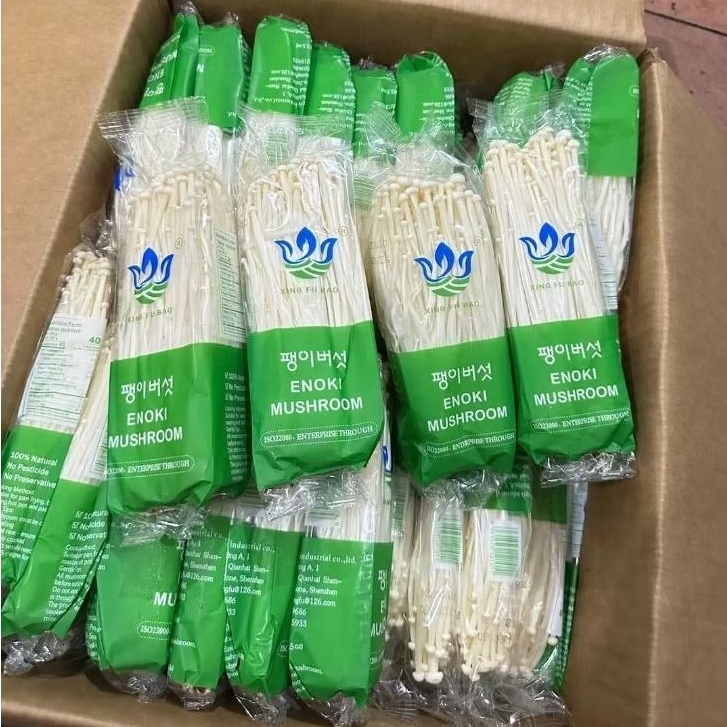 

jamur enoki import / selalu segar 1pack