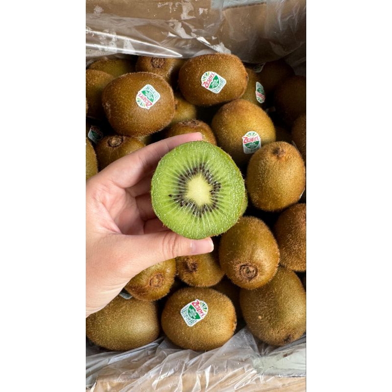 

Kiwi Green Zespri (PACK)