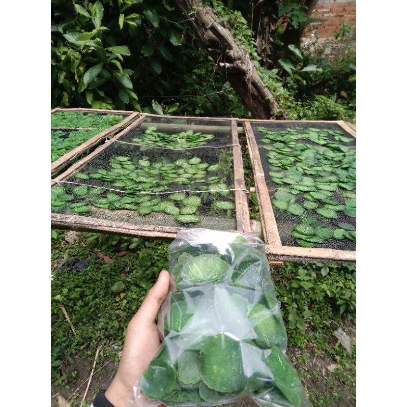 

krupuk kupang asli(500gram)