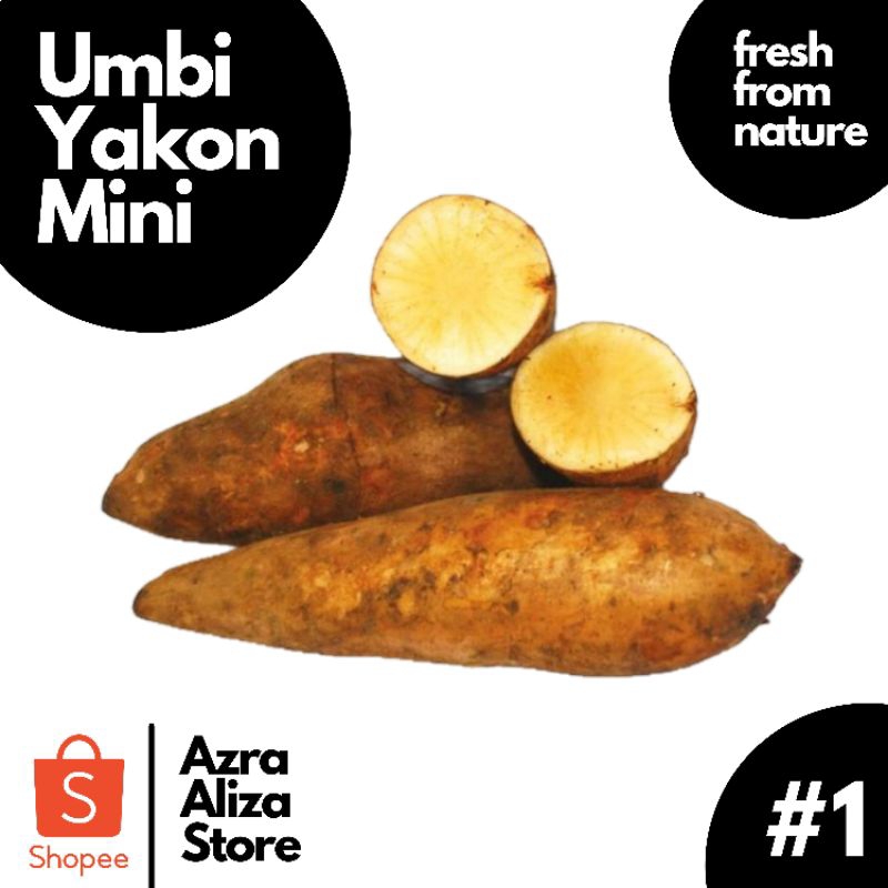 

Ubi Yakon/Umbi Yacon Mini 1 Kg