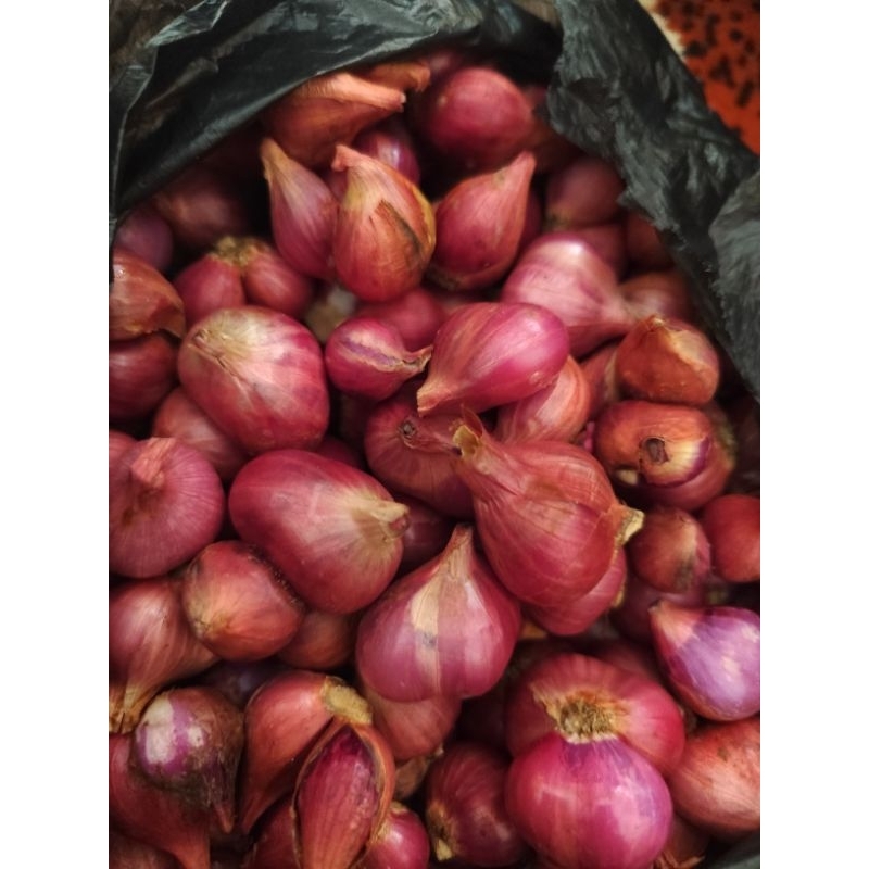 

bawang merah