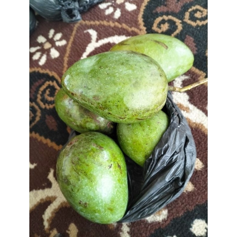 

mangga rujak 1 kilo