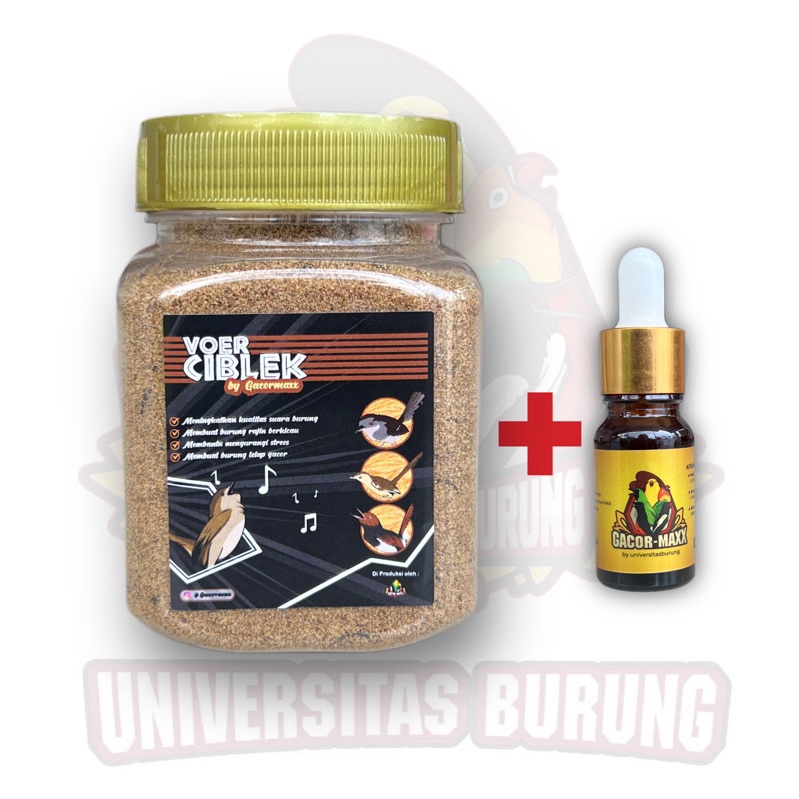 paket gacor voer ciblek gacormaxx + vitamin gacormaxx gold