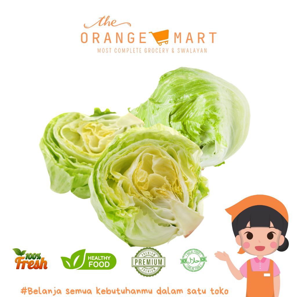 

Lettuce Head Segar 300gram/Iceberg Lettuce