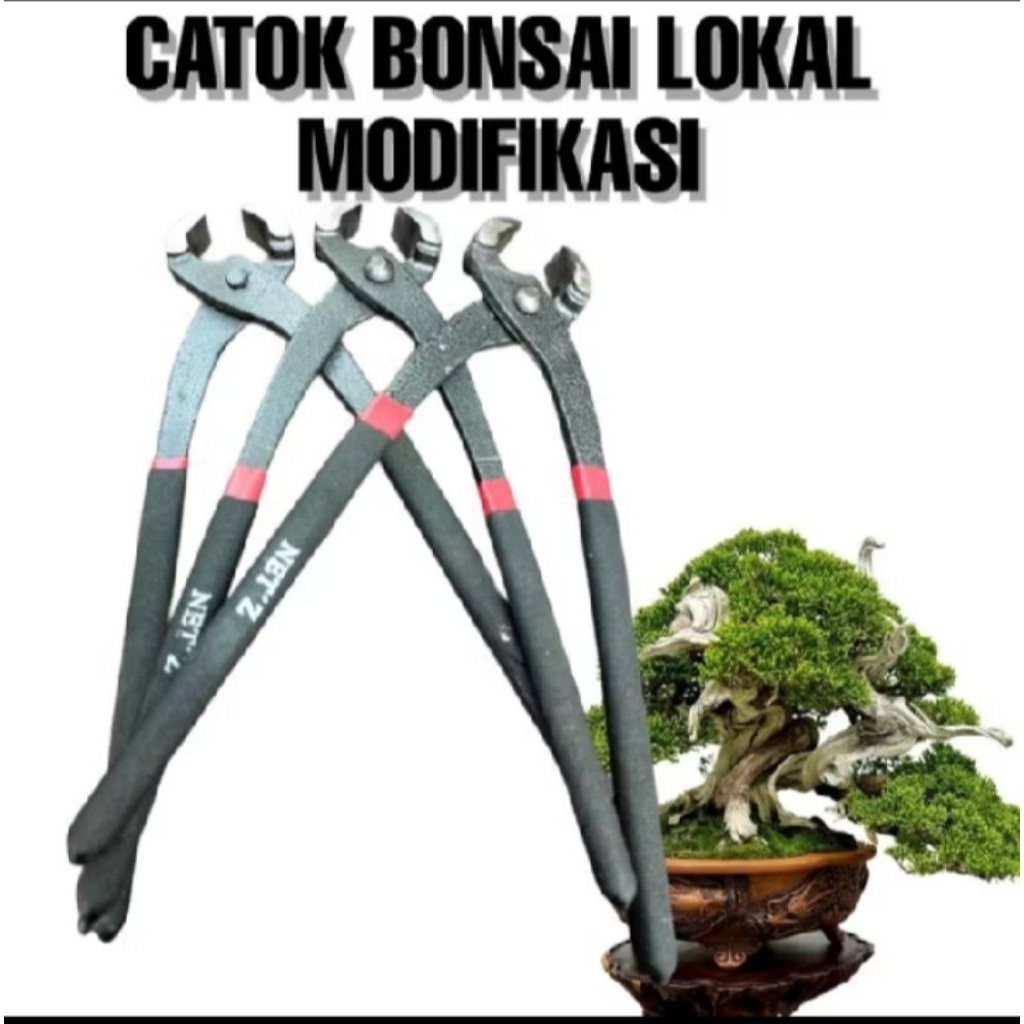 CATOK BONSAI LOKAL YANG SUDAH DI MODIFIKASI CEMBUNG, KREKUT BONSAI,PERALATAN BONSAI