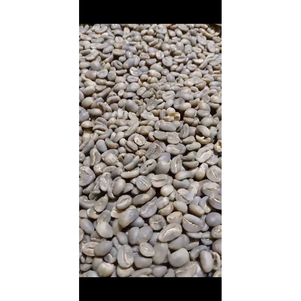 

GREEN BEAN ARABICA GAYO FULLWASH (Grade 1) 1 kg