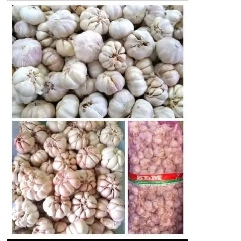 

bawang putih 1kg