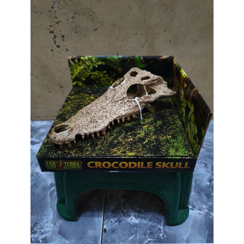 hiding cave crocodile