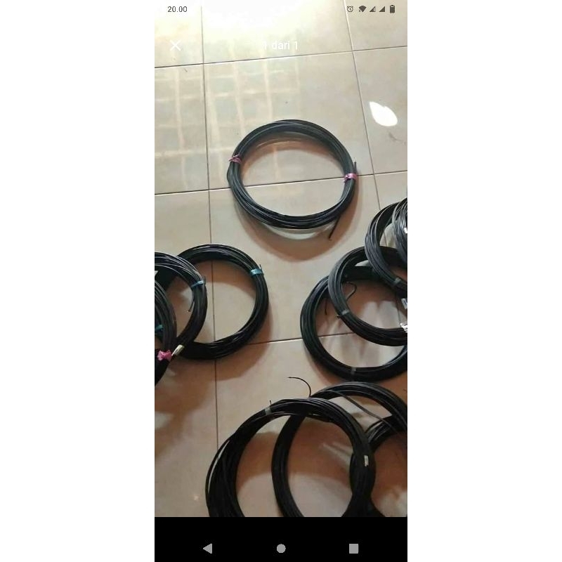 kawat rambatan tanaman anggur japan tanaman lainya