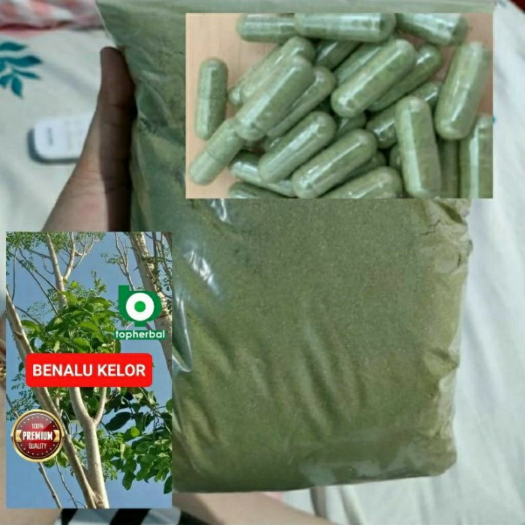 

Kapsul Benalu Kelor Hujan isi 100 Kapsul (Kering Hijau Organik Super Premium)