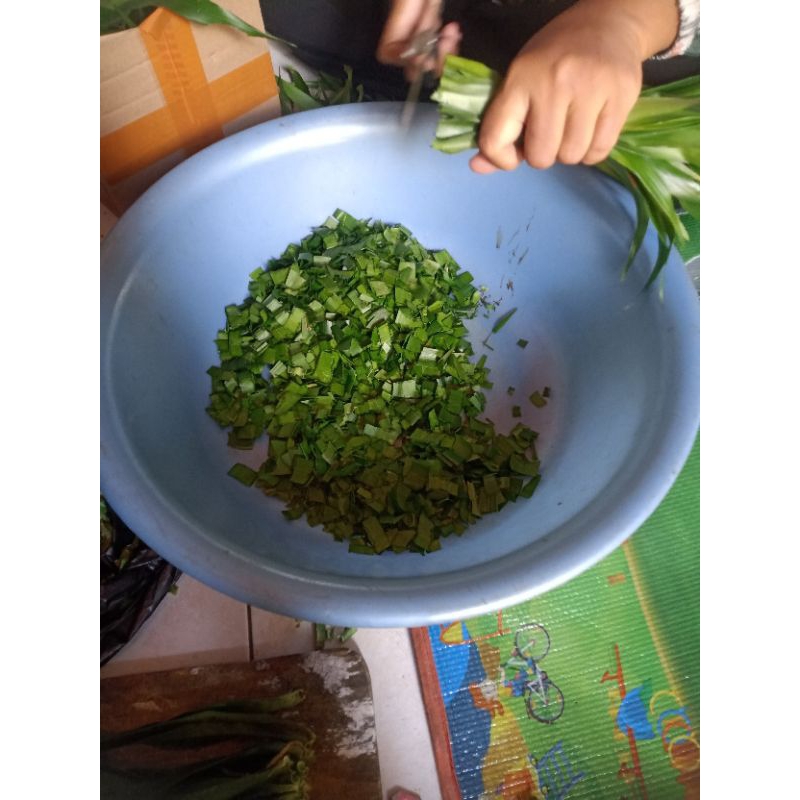 

IRISAN DAUN SUJI SIAP PAKAI 250GRAM