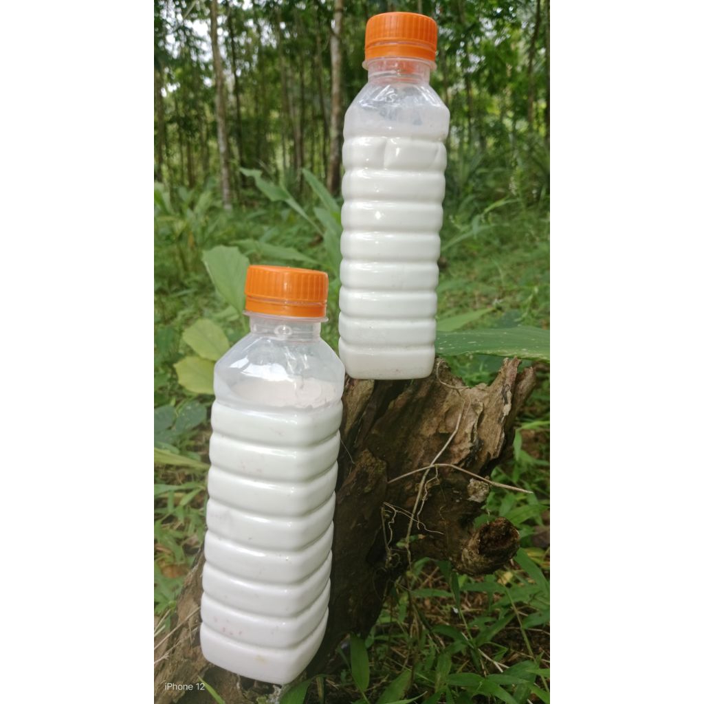 Getah Karet cair Murni isi 200mil