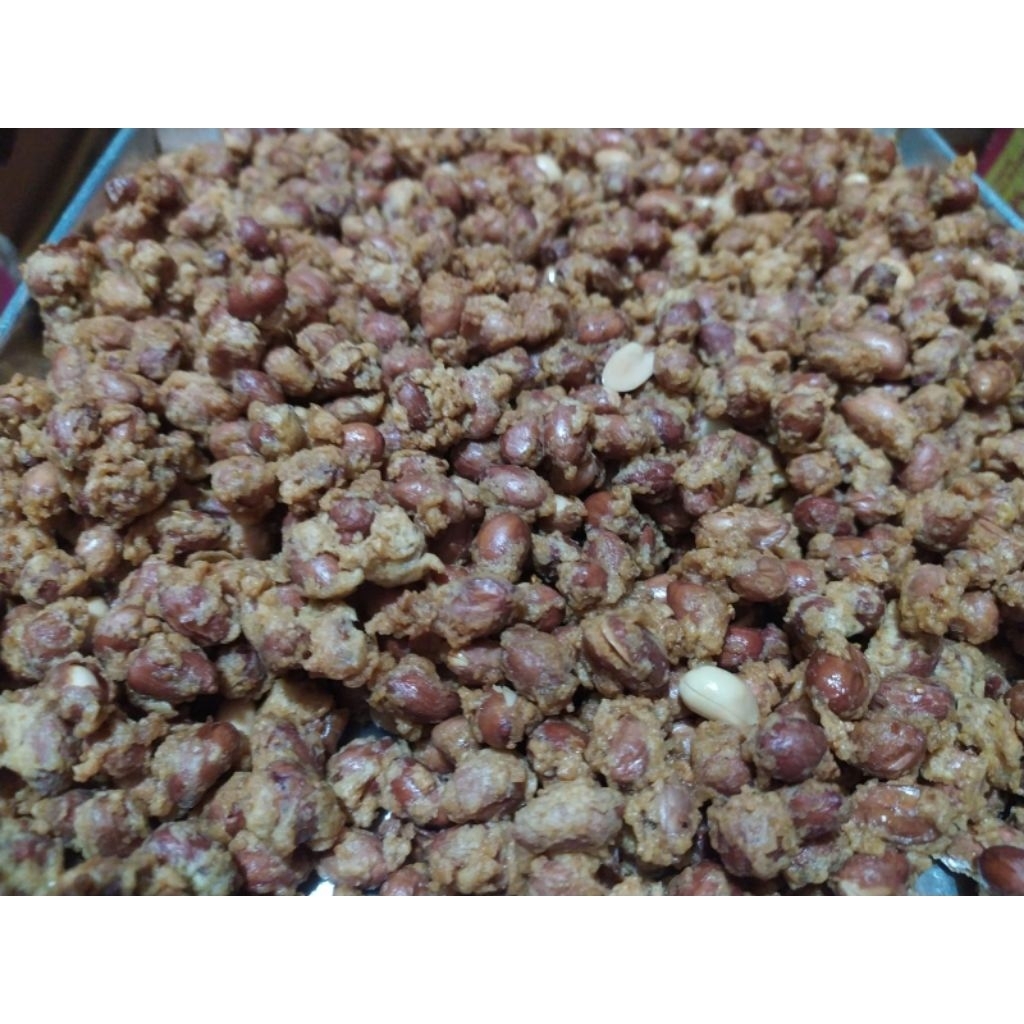 

kacang kribo
