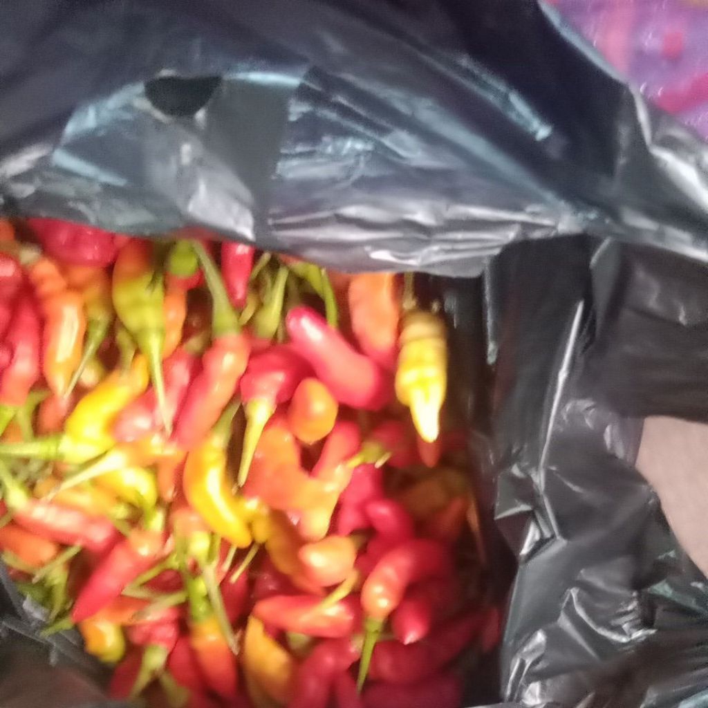 

sayur sayuran an dan buah segar