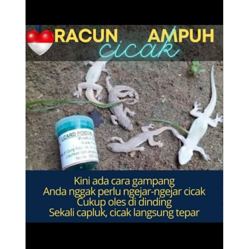 PEMBASMI CICAK RACUN CICAK DAN KECOA TERAMPUH - RACAK HERBAL ( PROMO )