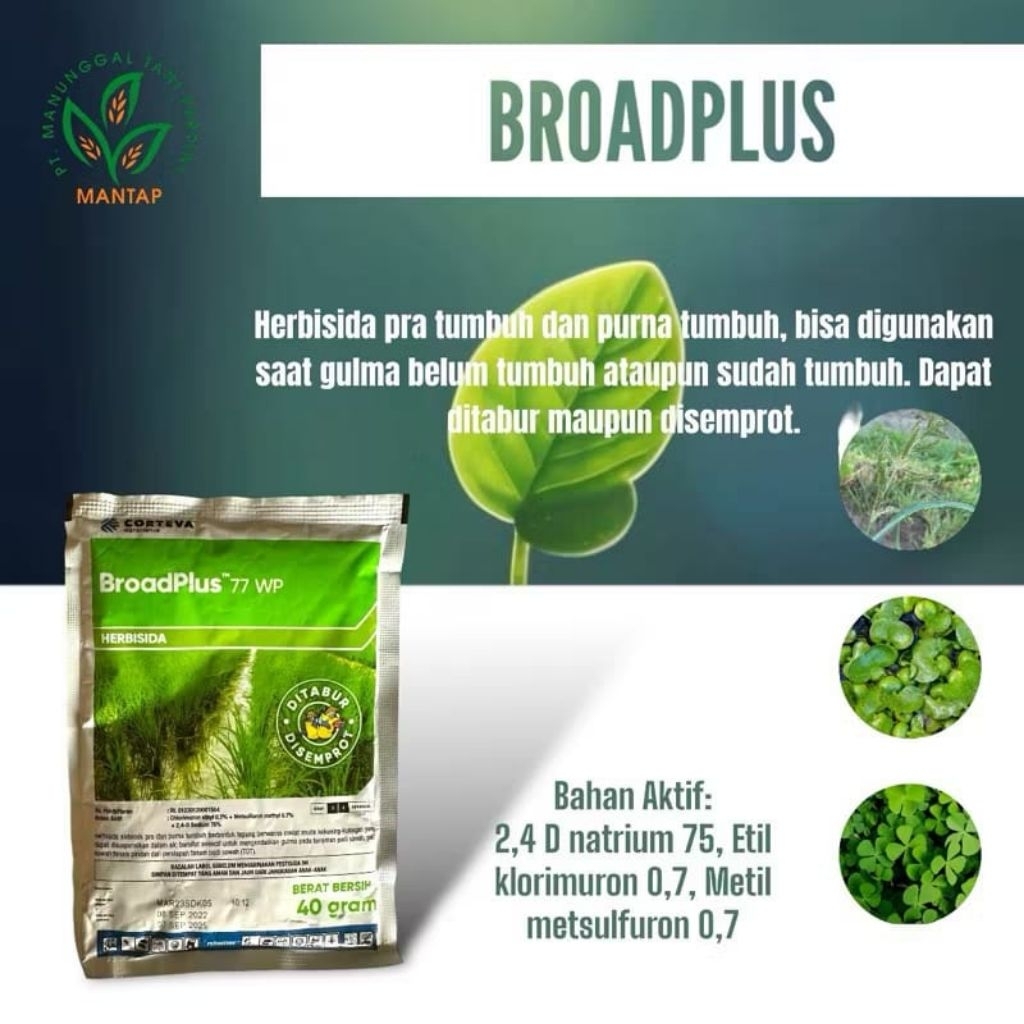 BROAD PLUS 77 WP 40gr, produk ini sebelumnya bernama Ally Plus 77 WP 40