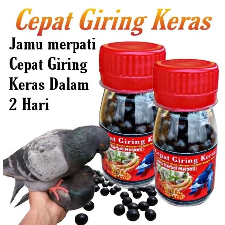 JAMU MERPATI SUPER GIRING KERAS DOPING MERPATI CEPAT GIRING KEKET JAMU POWER MERPATI BALAP SPRINT