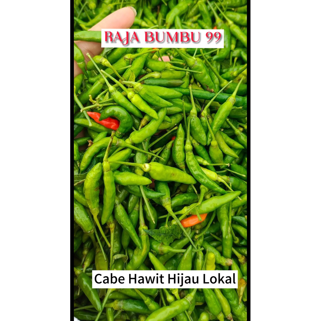 

Cabe Rawit Hijau LOKAL MURAH