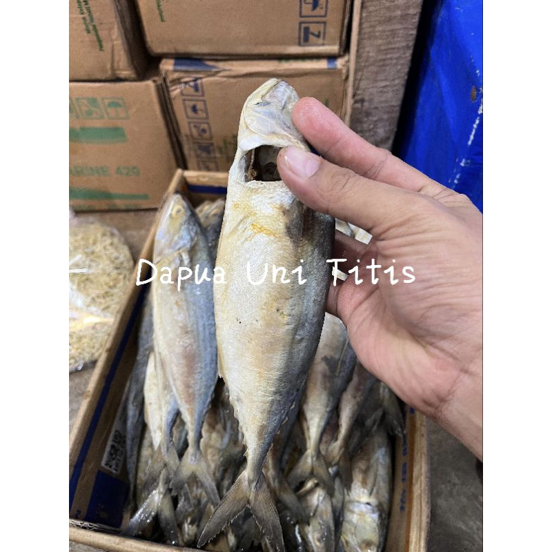 

Ikan Asin / Maco Budu Buang Insang Premium berat 1kg