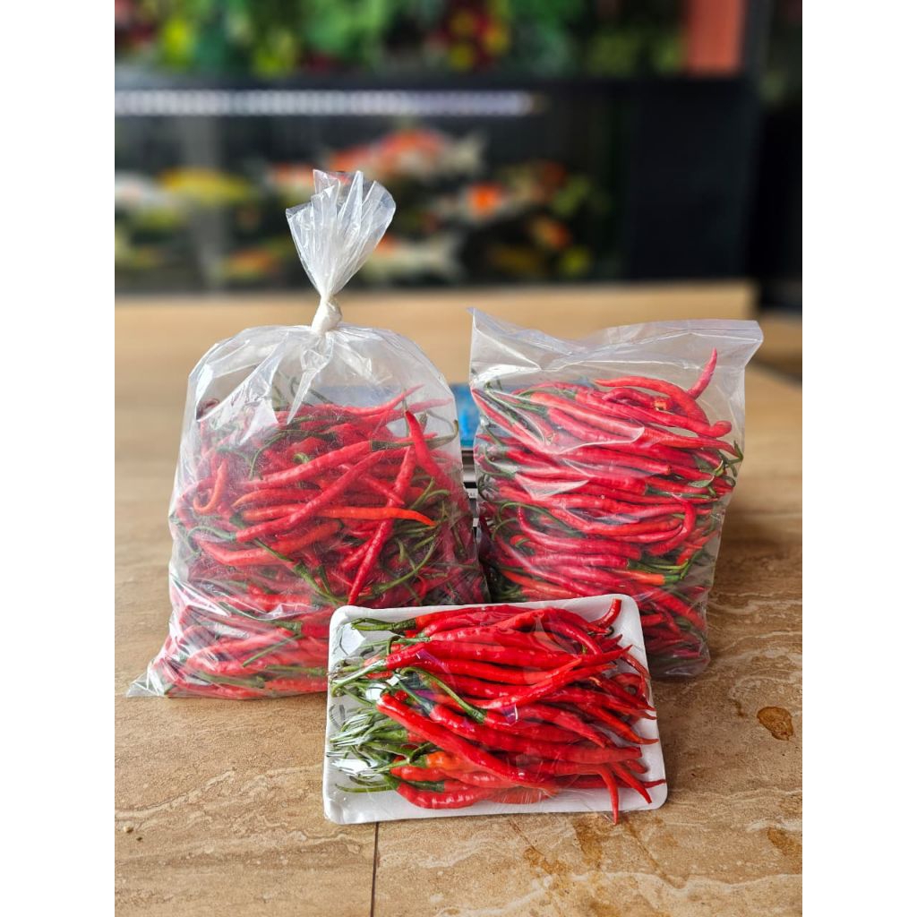 

Amanta Segar Cabe Keriting 1kg | Cabe Keriting 500gr | Cabe Kerting 200gr | Cabe Keriting Merah | Cabe Keriting 500 gram | Cabe Keriting | Cabai Keriting 1kg | Cabai Keriting Segar | Cabai Keriting Imperial 500 gram | Cabai Keriting Fresh Termurah 1kg