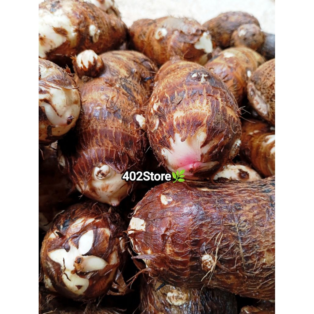

Umbi talas kimpul segar 1kg