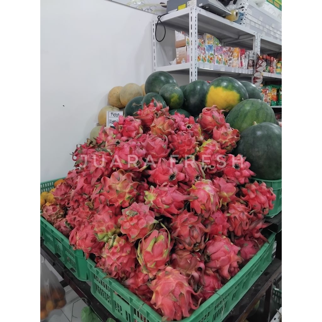 

Buah Naga 500gr