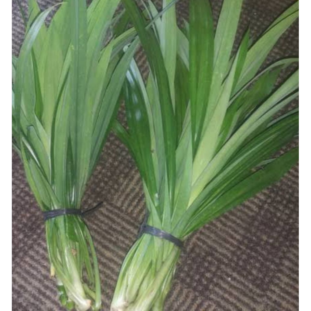 

DAUN PANDAN WANGI 250 GRAM