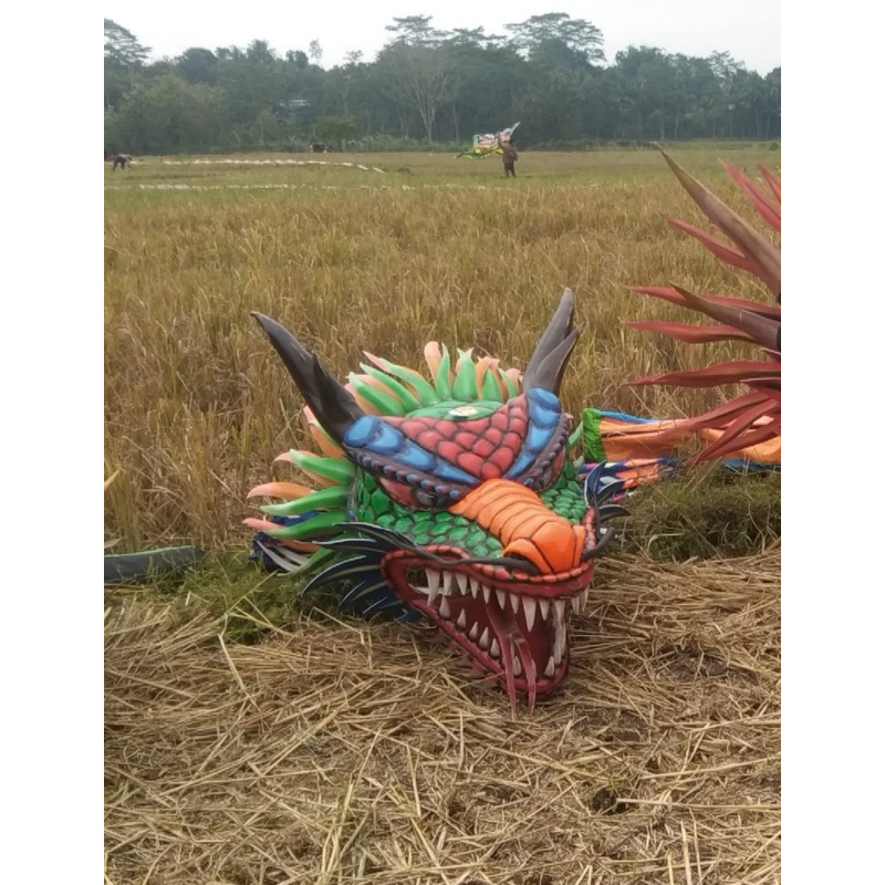 KEPALA LAYANGAN NaGA DM60