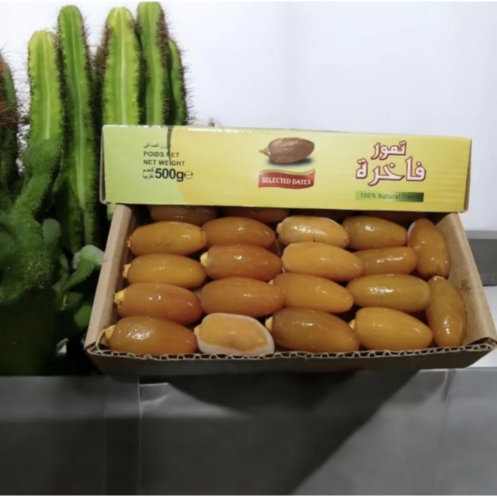

UW 11. Kurma Ruthob Libya 500gr, Kurma Promil, Kurma muda frozen