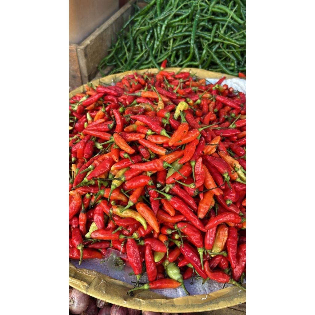 

Cabe setan / cabe geprek 1kg